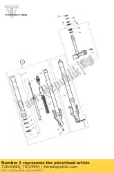 Here you can order the stanchion assy, rh from Triumph, with part number T2044080: