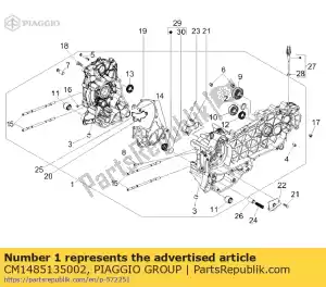 Piaggio Group CM1485135002 ensemble carter cat.2 - La partie au fond