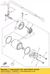 Aquí puede pedir montaje del motor de Yamaha , con el número de pieza 28P8189001: