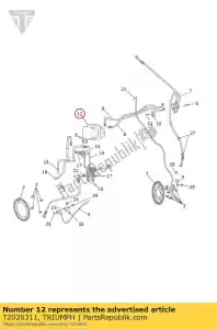 triumph T2026311 ass modulatore abs bagnato - Il fondo