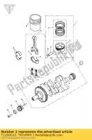 T1100932, Triumph, albero a gomiti, assy triumph daytona 675 from vin 381275 daytona 675 up to vin 381274 daytona 675 vin 381275 to vin 564947 street triple street triple from vin 560477 street triple r street triple r from vin 560477 street triple r to vin 560476 street triple to vin 560476 675, Nuovo