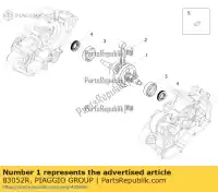 83052R, Piaggio Group, drive shaft aprilia derbi gilera  gpr rcr rcr 50 rs rs4 rx rx 50 rx sx senda senda drd r senda drd sm senda r senda r drd x treme senda sm drd x treme senda x-treme 50 sm low seat smt smt racing sx zapabb01 zapkka00 zapkkb00 zapkkb07 zd4kka01 zd4kkb01 zd4kkb03 zd4kkb, New