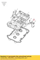 Tutaj możesz zamówić wspornik, airbox od Triumph , z numerem części T2201763: