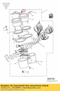 triumph T2501171 tornillo - Lado inferior