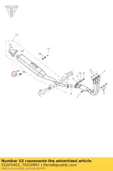 schroefpan/hd m8 x 50 slv van Triumph, met onderdeel nummer T2205403, bestel je hier online: