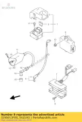 Here you can order the igniter assy from Suzuki, with part number 3290013F00: