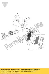 triumph T2101995PG t2101995-pg coperchio radiatore nero - Il fondo