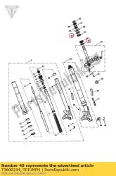 Here you can order the seal, dust, dia 55 from Triumph, with part number T3600234: