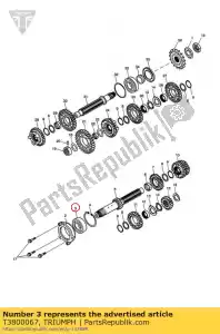 triumph T3800067 rolamento, 6305 - Lado inferior