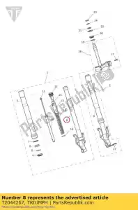 triumph T2044267 tubo comp interno rh - Il fondo