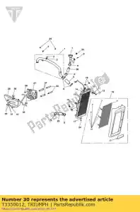 triumph T3350012 controdado, flgd, zinco nero m6 - Il fondo