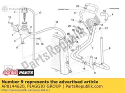 Here you can order the cooler pipe from Piaggio Group, with part number AP8144620: