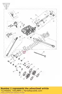 triumph T1246000 zespó? korpusu przepustnicy - Dół