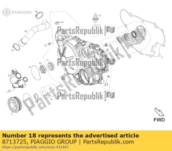 Aprilia 8713725, Zespó? wa?u pompy wodnej., OEM: Aprilia 8713725
