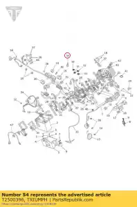triumph T2500396 collegamento in cortocircuito - Il fondo
