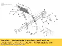 GU05162031, Piaggio Group, Radiatore olio cpl. moto-guzzi breva breva v ie norge norge polizia berlino sport 850 1100 1200 2005 2006 2007 2008, Nuovo