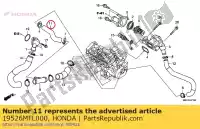 19526MFL000, Honda, slang, oliekoeler honda cbr fireblade rr ra rrs cbr1000rr cbr1000ra cbr1000s1 cbr1000s2 1000 , Nieuw