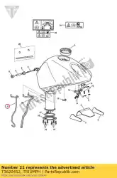 Here you can order the hose, formed, evap from Triumph, with part number T3620452: