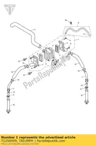 triumph T1250909 válvula sai - Lado inferior