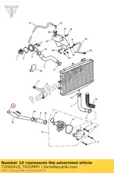 Here you can order the o ring from Triumph, with part number T3600910: