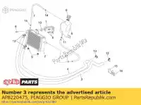 AP8220475, Piaggio Group, tubo da cabeça do refrigerador de água aprilia  sonic 50 1998 1999 2000 2001 2002 2003 2004 2005, Novo