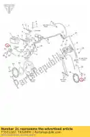 T3551207, Triumph, rondella m6 x 14 x 0,8 forma d triumph speed triple 461332 > speed triple r tiger 800 tiger 800xc 800 1050 2011 2012 2013 2014 2015 2016, Nuovo