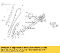 857538, Piaggio Group, placa de guía de cadena aprilia  rsv rsv4 rsv4 1100 racing factory abs rsv4 tuono tuono tuono v tuono v4 1100 (usa) tuono v4 1100 (usa) e5 tuono v4 1100 rr (apac) zd4ke000 zd4kea00 zd4kea00, zd4kewa zd4keb00 zd4keu zd4keua1 zd4kg000 zd4kga00 zd4kgb zd4kgb00 zd4kgu zd4kgu00 zd4kg, Nuevo