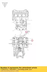 Ici, vous pouvez commander le boulon, hhf, m8x1. 25x85, slv auprès de Triumph , avec le numéro de pièce T3202313: