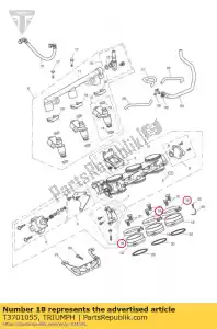 triumph T3701055 clip, pezzo di transizione - Il fondo