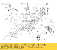 B043925, Piaggio Group, brandstofpomp cpl. aprilia  rsv rsv4 rsv4 1100 racing factory abs rsv4 tuono tuono tuono v tuono v4 1100 (usa) tuono v4 1100 (usa) e5 tuono v4 1100 rr (apac) zd4ke000 zd4kea00 zd4kea00, zd4kewa zd4keb00 zd4keu zd4keua1 zd4kg000 zd4kga00 zd4kgb zd4kgb00 zd4kgu zd4kgu00 zd4kg, Nieuw