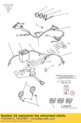 Here you can order the label from Triumph, with part number T3950015: