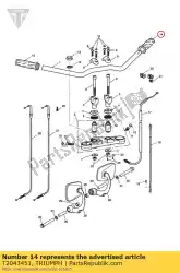 Here you can order the grip lh from Triumph, with part number T2043451: