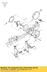 Here you can order the mouldingheadlight from Triumph, with part number T2700394: