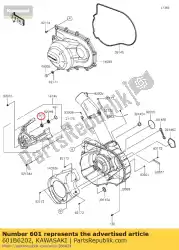 Here you can order the ball bearing,#6202c3 from Kawasaki, with part number 601B6202: