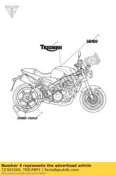 Here you can order the decal, side, rear, lh from Triumph, with part number T2304299: