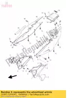 1S4F172F00P1, Yamaha, panel 2 yamaha ybr 250 2007 2009 2011, Nuevo