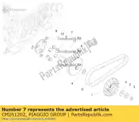 CM261202, Piaggio Group, carcasa completa de rodillos     , Nuevo