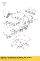 T3010297, Triumph, compressie limiter id 6.5 triumph thunderbird thunderbird storm 1600 1700 2010 2011 2012 2013 2014, Nieuw