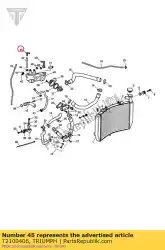 Here you can order the elbow, overflow, quickfit from Triumph, with part number T2100406: