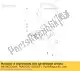 Miles instrument panel with cover Piaggio Group 64196200HF