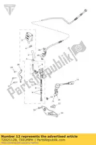 triumph T2021128 gruppo pedale freno posteriore - Il fondo