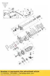 Here you can order the plate retaining from Triumph, with part number T1190926: