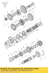 Here you can order the distance sleeve from Triumph, with part number T1181188: