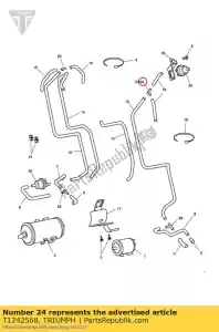 triumph T1242568 system parowania z trójnikiem - Dół