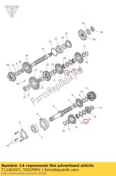 Aquí puede pedir arandela estriada de Triumph , con el número de pieza T1180347: