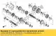 Gear, mainshaft third(20t) Honda 23451MEW920