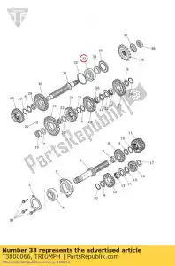 triumph T3800066 lager, 6305, hoog belastbaar - Onderkant