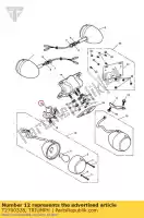 T2700328, Triumph, indicador de suporte rhf triumph america carbs america efi speedmaster carbs speedmaster efi 790 865 2002 2003 2004 2005 2006 2007 2008 2009 2010 2011 2012 2013 2014, Novo