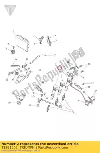 triumph T1291502 coil, plug top, ignition - Bottom side