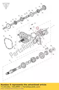 triumph T1181282 cover side front bevel box - Bottom side